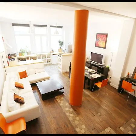 Appartement Loft Chabrol